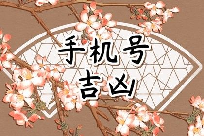 结果页的免责声明