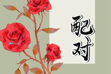 日柱为何是合婚核心