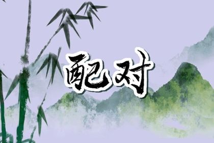 双姓与单姓的差异