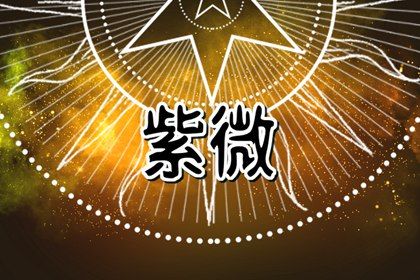 在线查询和自学的关系