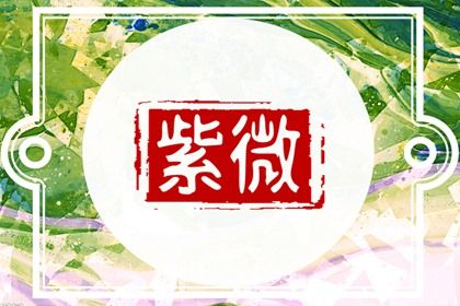 一张命盘包含什么